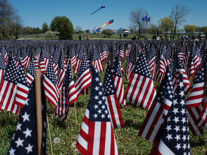 Vibrant display of American flags waving in a field under a clear blue sky