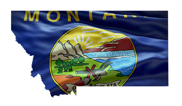 Montana State Flag