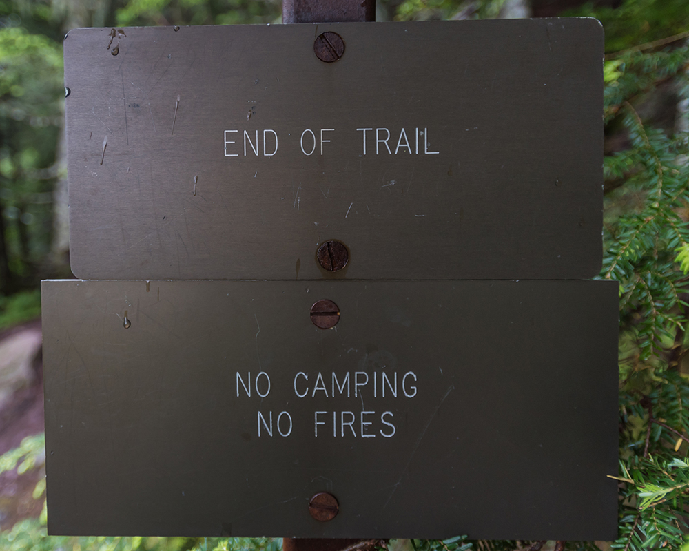 Wilderness posted signs